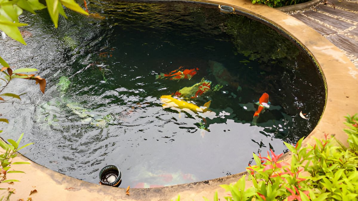 pond filter