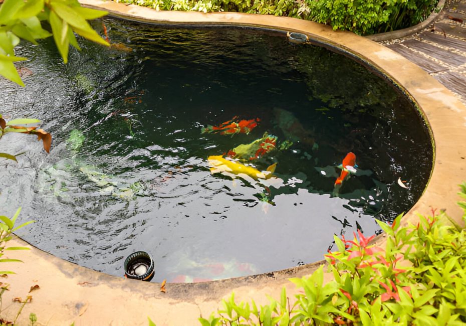 pond filter